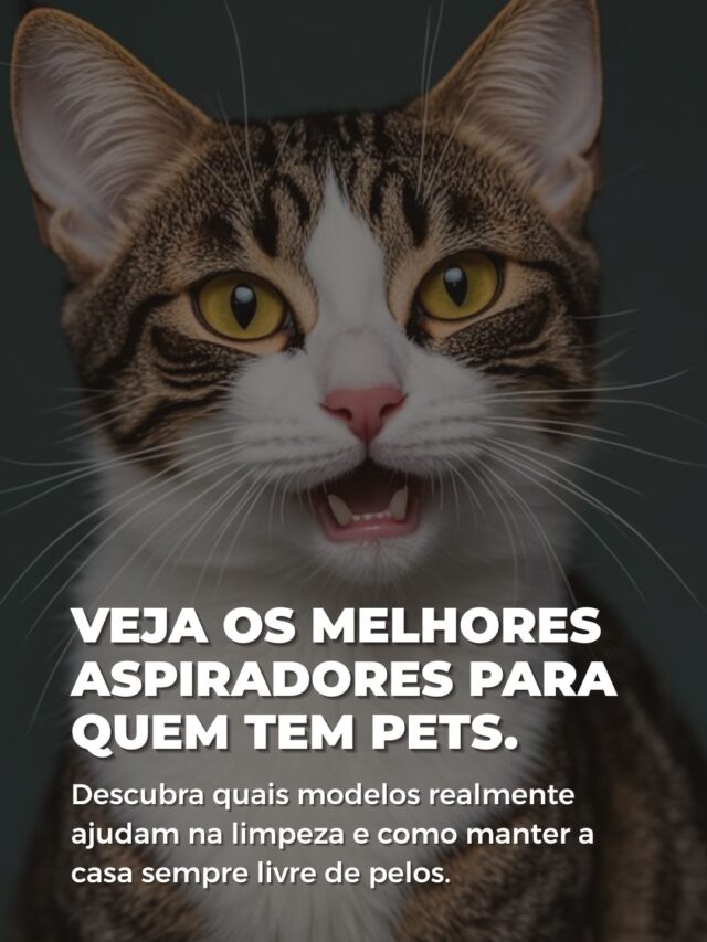Veja os Melhores Aspiradores para quem tem pets
